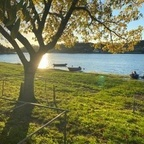 adribond1 OnlyFans Leaks 

 profile picture