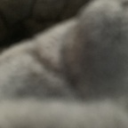 alkibeach87 OnlyFans Leak 

 profile picture