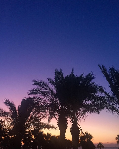 Header of angelicwhore