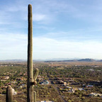 Free access to (angelodelo) Leak OnlyFans 

 profile picture