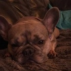 Download ash_985 OnlyFans content for free 

 profile picture