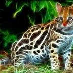 Aaron Hickling @ashling Leaked OnlyFans 

 profile picture