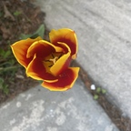 Free access to babydoll360 Leak OnlyFans 

 profile picture