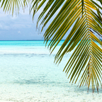 beachy (Beachy) OnlyFans Leaked Pictures & Videos 

 profile picture