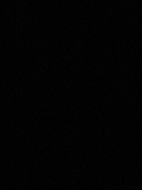 Header of bellavittoria