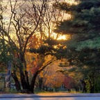 Leaked bighoss63 onlyfans leaked