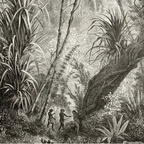 Free access to (blissfull) Leaks OnlyFans 

 profile picture