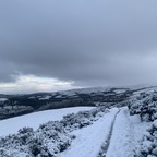 Blossom (blossomivy) Leaked OnlyFans 

 profile picture