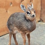 Download bob_lablah OnlyFans leaks for free 

 profile picture