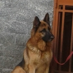 bonbon OnlyFans Leaked 

 profile picture