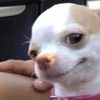 bunnyxx (Plugbunny) OnlyFans Leaks 

 profile picture