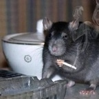 Onlyfans leaks buttcrack 

 profile picture