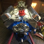 Download buttercup96 OnlyFans videos and photos for free 

 profile picture