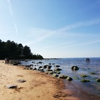 candice OnlyFans Leaks 

 profile picture