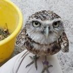 Free access to (canton) Leaked OnlyFans 

 profile picture