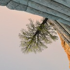 ccccchrrr (Christine 🐙) OnlyFans Leaked Videos and Pictures 

 profile picture