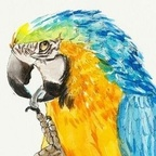 Onlyfans leaks chennie 

 profile picture