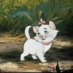 Leaked cque_b onlyfans leaked