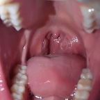 Leaked dana.the.lady.vore onlyfans leaked