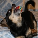 Free access to (@dannika) Leak OnlyFans 

 profile picture