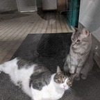 davkdgreytheonly1 OnlyFans Leak 

 profile picture