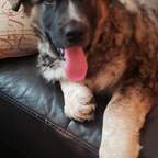 Download demonicangel OnlyFans videos and photos for free 

 profile picture