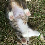 Download deniii OnlyFans videos and photos for free 

 profile picture