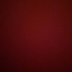 denisek OnlyFans Leaked 

 profile picture