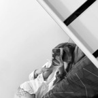 Leaked e.rose_b onlyfans leaked