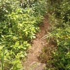 Onlyfans leaked enana08 

 profile picture