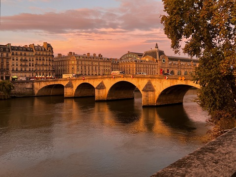 Header of fleurdesoleil