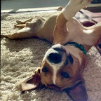 Leaked ganja_mistress onlyfans leaked