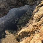 Free access to @goddessemeraldx Leak OnlyFans 

 profile picture