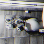 Free access to @goodgirl199819292828181 Leaks OnlyFans 

 profile picture