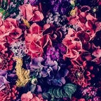 Download hornydevil OnlyFans content for free 

 profile picture