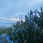 hottielatinaa (Babylatinaa) OnlyFans Leaked Pictures & Videos 

 profile picture