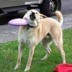 menino roxo huldra Leaks OnlyFans 

 profile picture