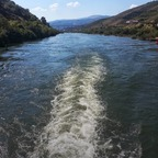 ithere42000p OnlyFans Leaked 

 profile picture