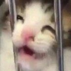 Download karasboke OnlyFans leaks for free 

 profile picture