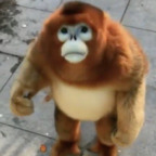 Free access to @kielbasasir Leaks OnlyFans 

 profile picture