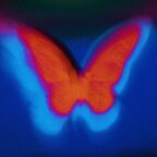 leovenus OnlyFans Leaked Photos and Videos 

 profile picture