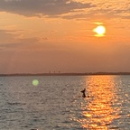 leppy1696 (Cris) OnlyFans Leaked Content 

 profile picture