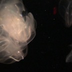 Onlyfans leak lildev123 

 profile picture