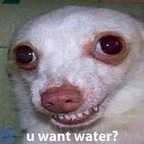 Leaked liljuli onlyfans leaked