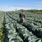 lonwabo88 (Lonwabo88) OnlyFans Leaked Pictures and Videos 

 profile picture