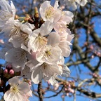 Download lunal0vegood OnlyFans leaks for free 

 profile picture