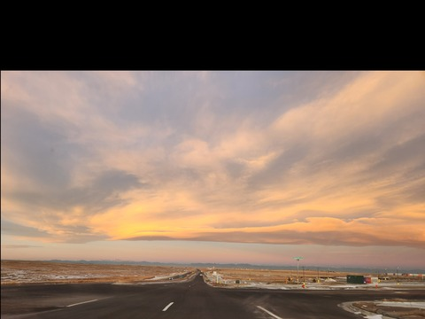 Header of mentallydisturbedmouse