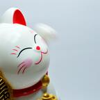 meringue OnlyFans Leaked 

 profile picture