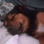 Leaked mikeo1o onlyfans leaked