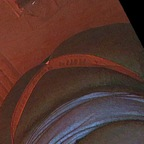 Download milaniw07 OnlyFans videos and photos for free 

 profile picture